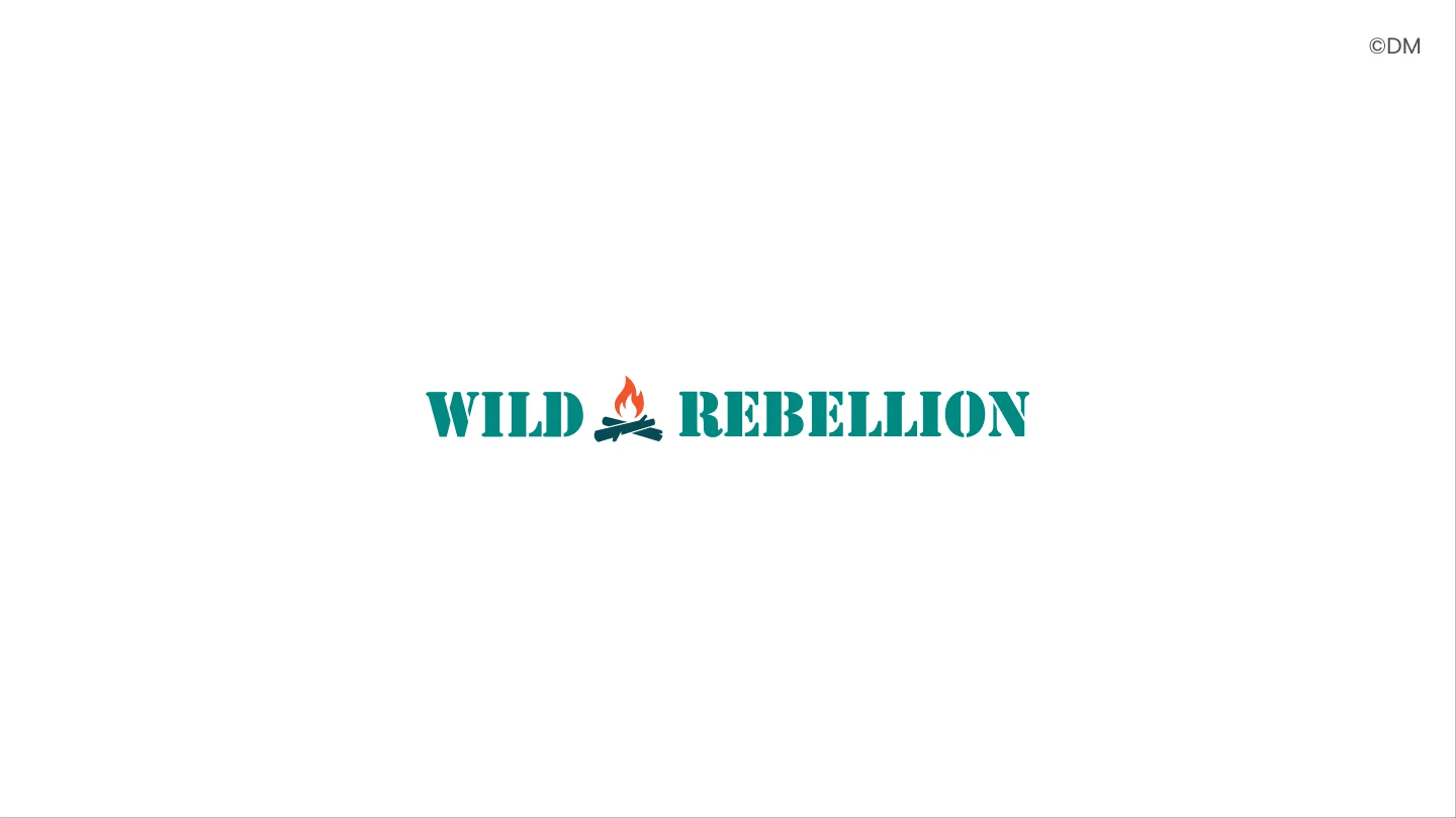 Rebellion Collective brand guide, slide 6